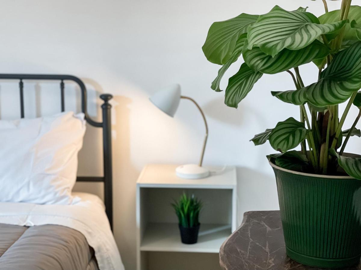 Apartmán Sestio House Řím Exteriér fotografie